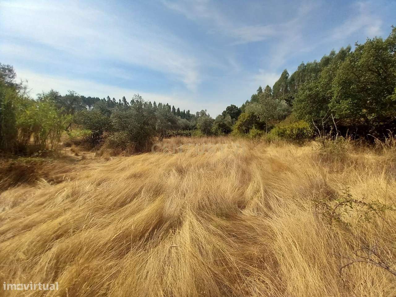 Terreno Rustico com 30960m2 - Grande imagem: 2/10