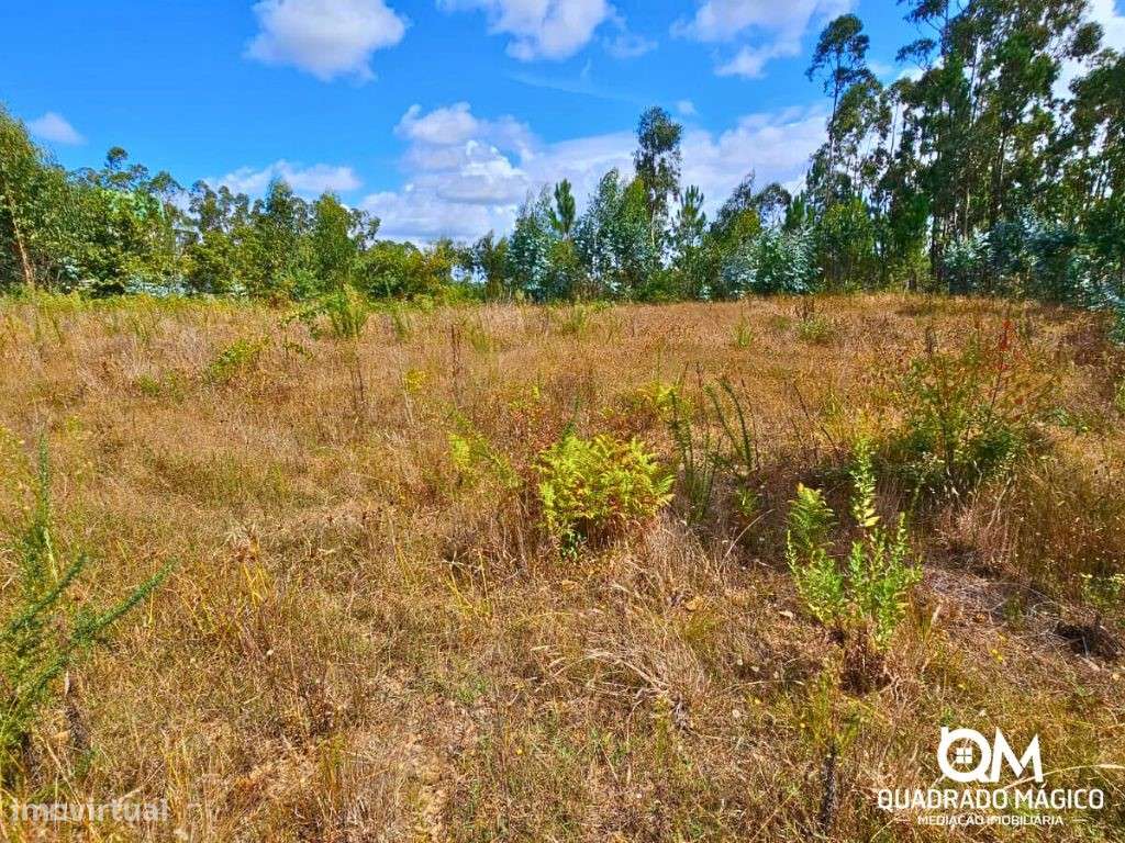 Terreno urbanizável com 1870m2 a 1km das Termas das Caldas de São J...-18