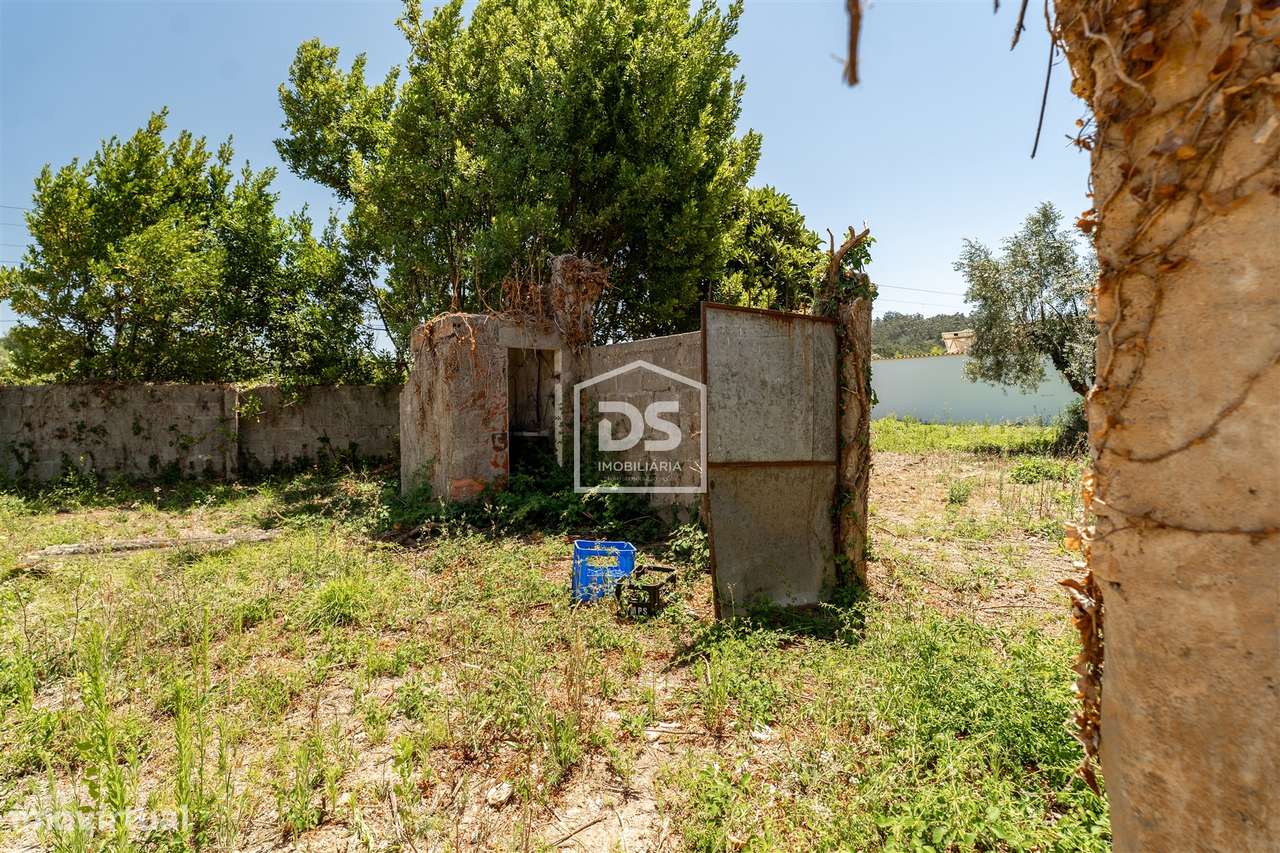 Moradia Centenária em Pedra com Terreno em Barrocas, Pombal - Grande imagem: 3/11