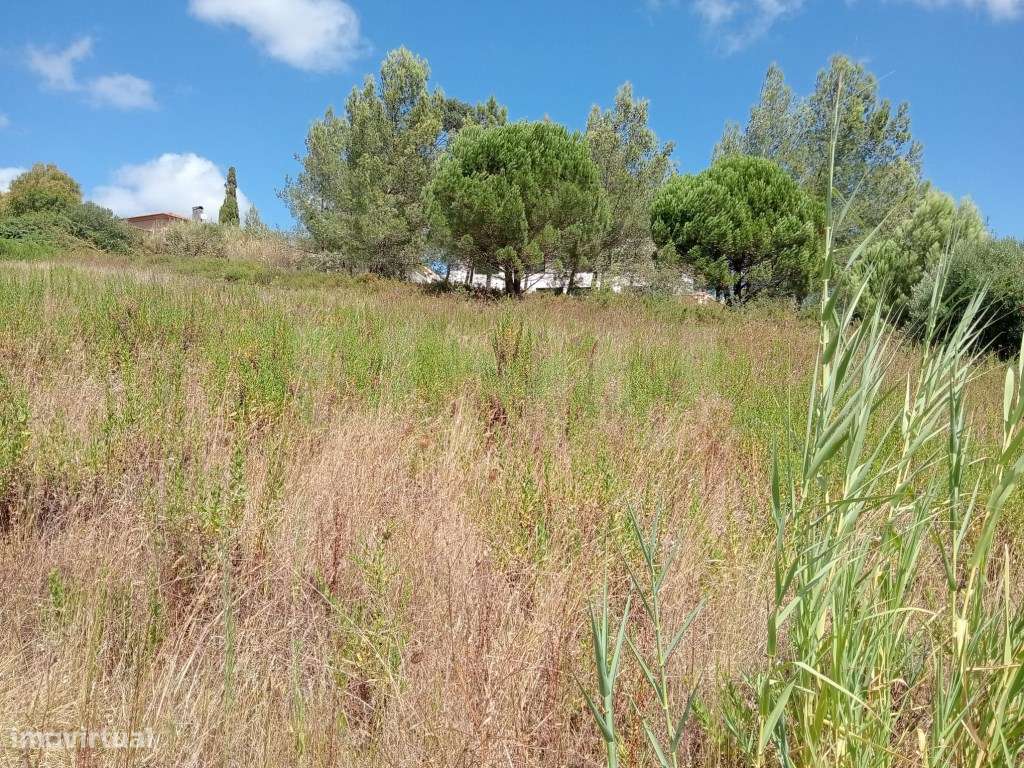 Terreno Rústico com 2280m², para venda, Runa, Torres Vedras-11