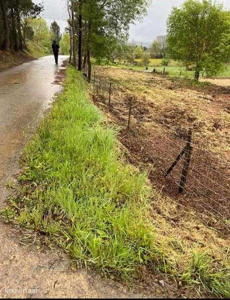 Terreno rústico em Enxames (Fundão) – 2.000 m² - Grande imagem: 5/9