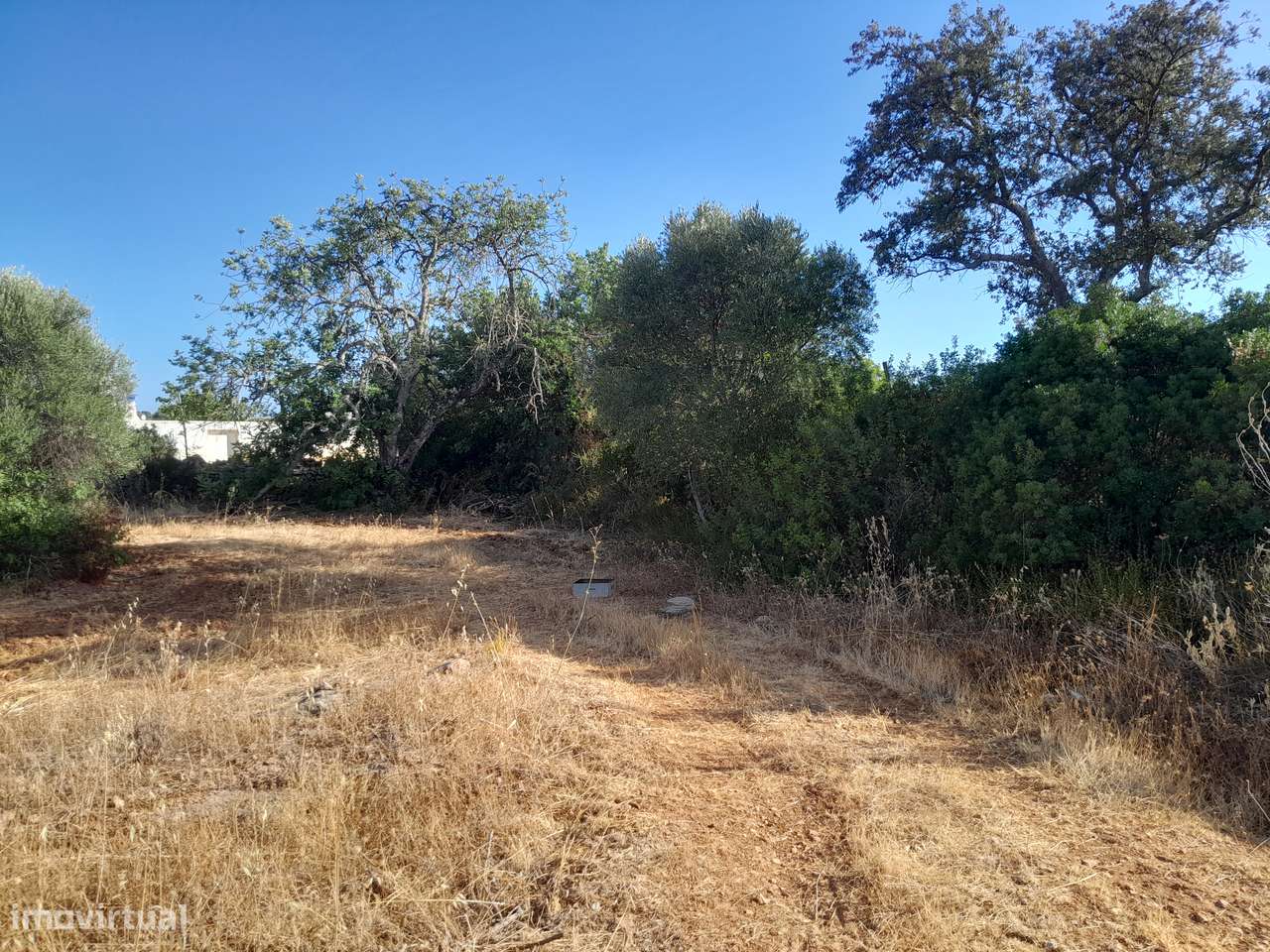 Moradia T3 C/ 10.000M2 Terreno C/ Furo-36