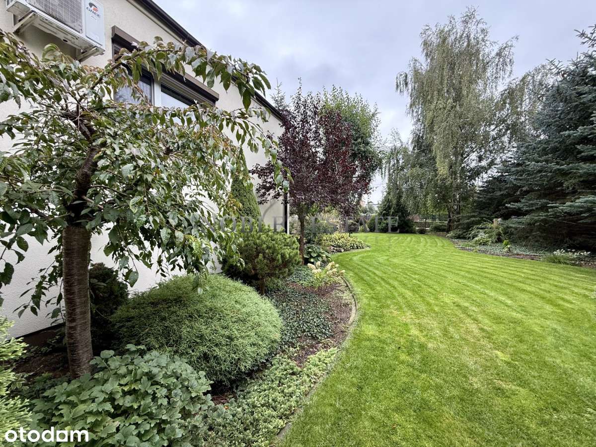 Cudowny ogród pod ścianą lasu-15