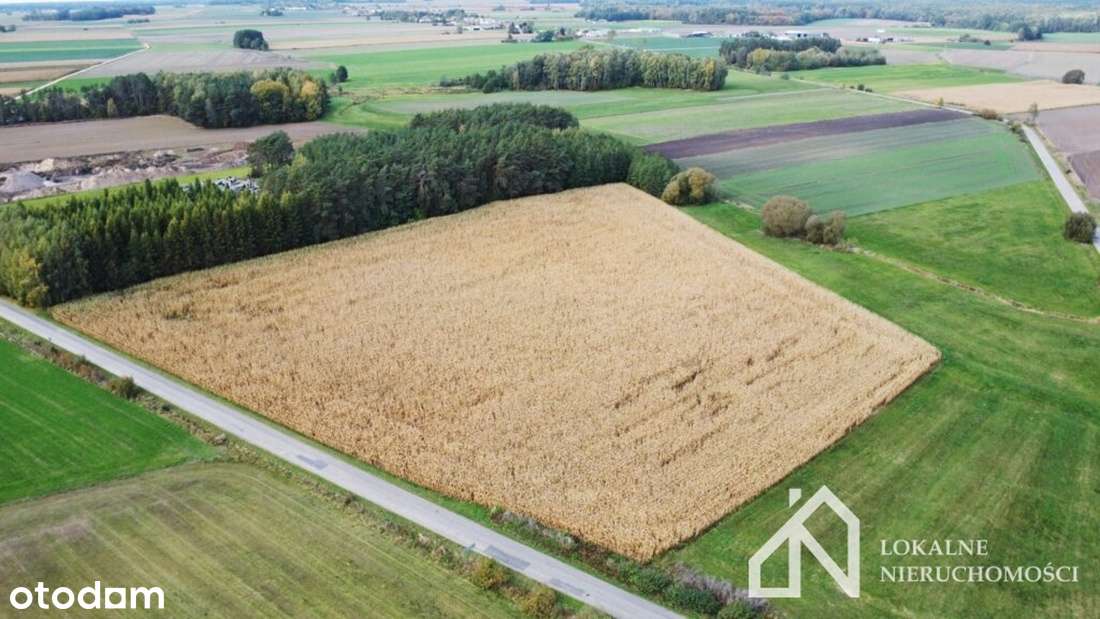 Grunty rolne - ponad 2,7 ha w miejscowości Czekanów na sprzedaż! - Pełny obrazek: 5/8