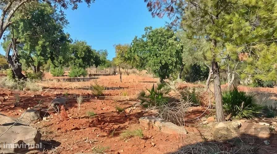 Terreno rústico plano com 4240 m2 no Algarve-9