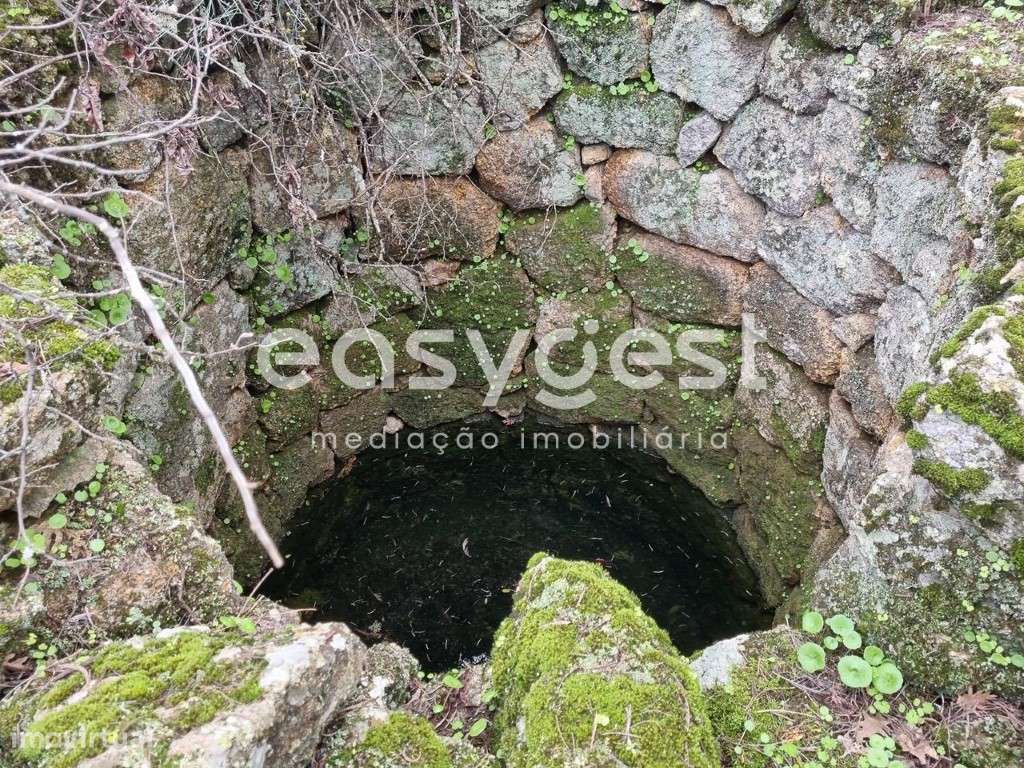 Terreno Rústico com dependência agrícola no Sidral/Covões - Grande imagem: 4/46