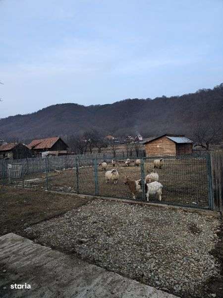 Vand teren intravilan,toate utilitatile langa manastire Polovragi 2700 - Imagine principală: 5/8