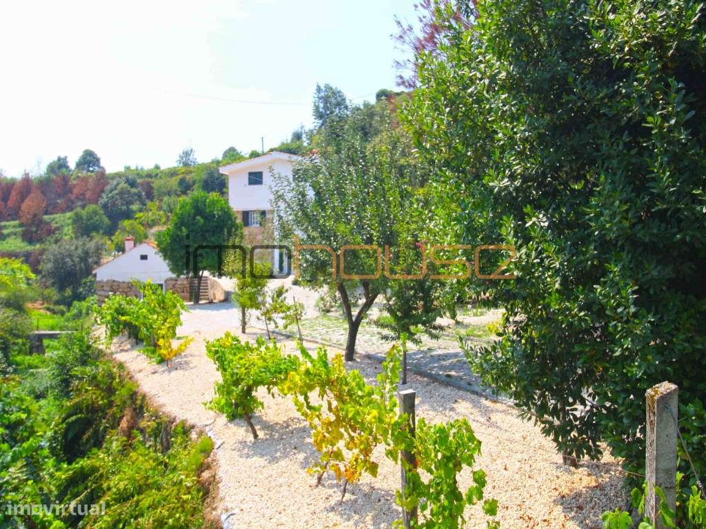 Quinta com Casa Remodelada e Antigo Moinho de Água Junto a Ribeiro-35