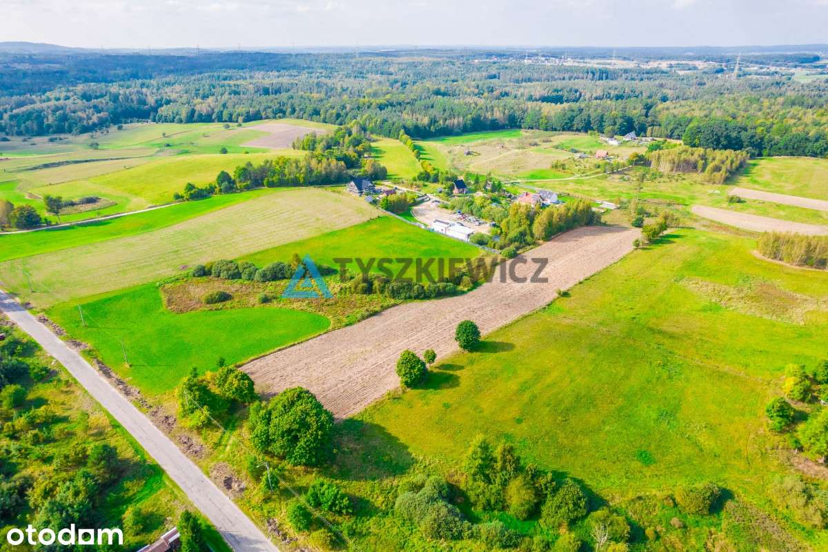 Działki budowalne w Nowej Wsi Przywidzkiej - Pełny obrazek: 4/16