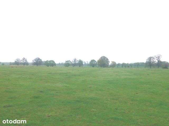 Działka pod budowę - Pełny obrazek: 4/5