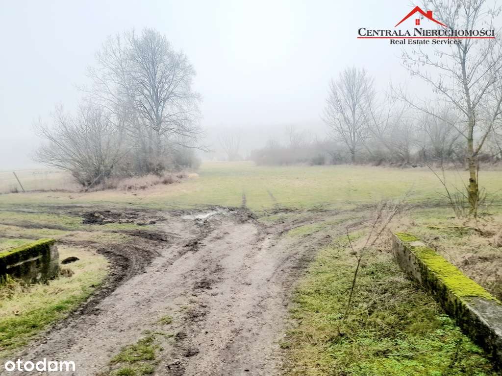 Działka przy Lesie Ostromeckim - Pełny obrazek: 4/6