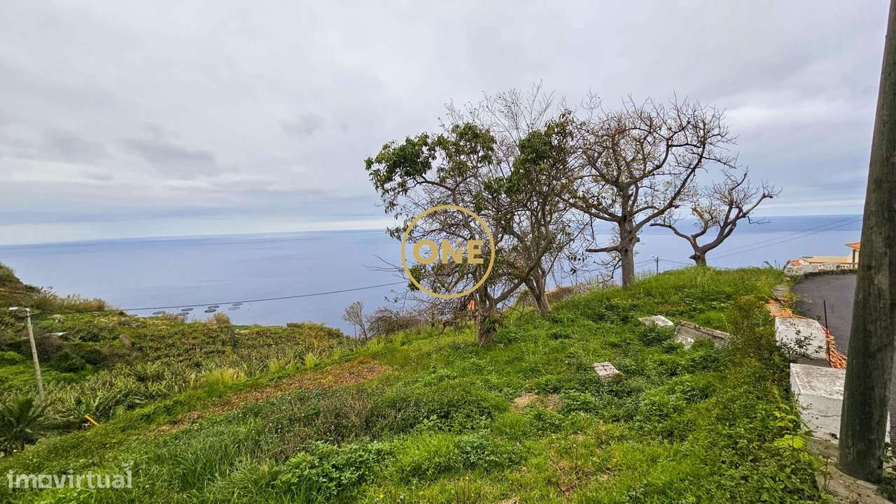 Terreno com 1231 m2 - Grande imagem: 2/41