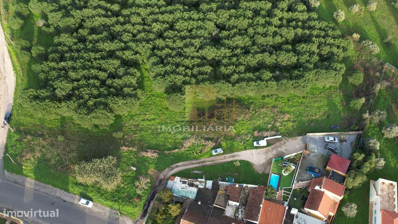 Terreno  Venda em Santarém (Marvila), Santa Iria da Ribeira de Santaré - Grande imagem: 2/3