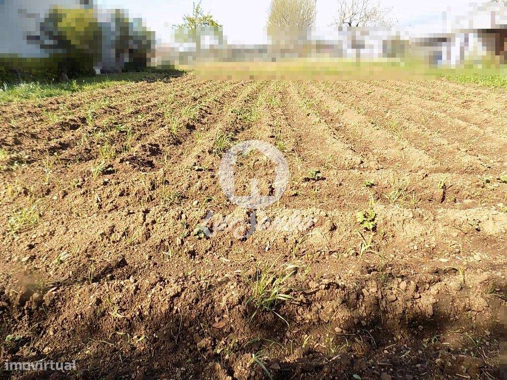 Moradia M5 + G.F. com 2.700 m2 em Bougado, Trofa - Grande imagem: 3/19