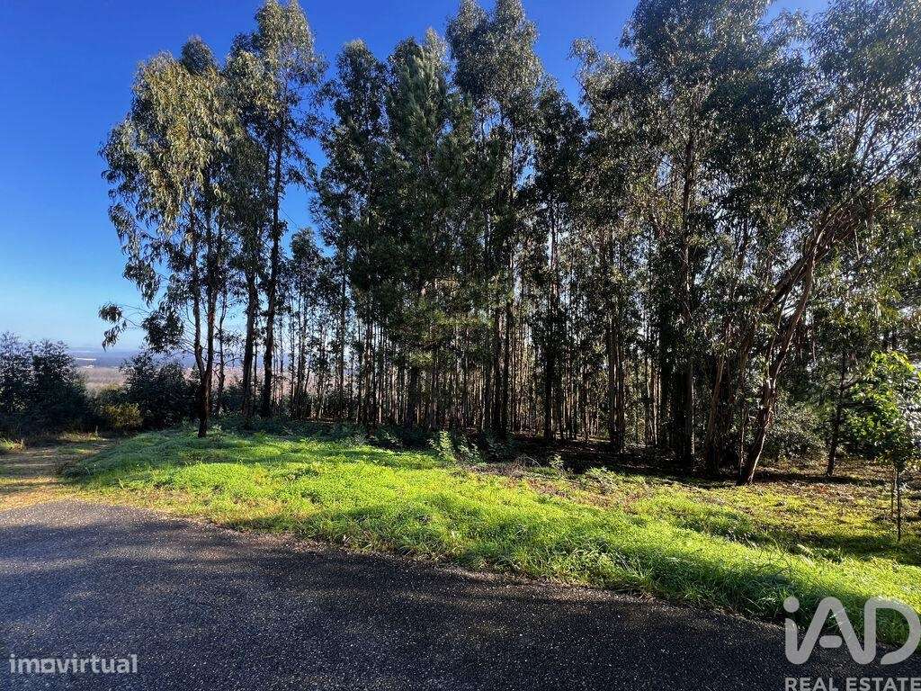 Terreno em Sangalhos - Grande imagem: 5/8