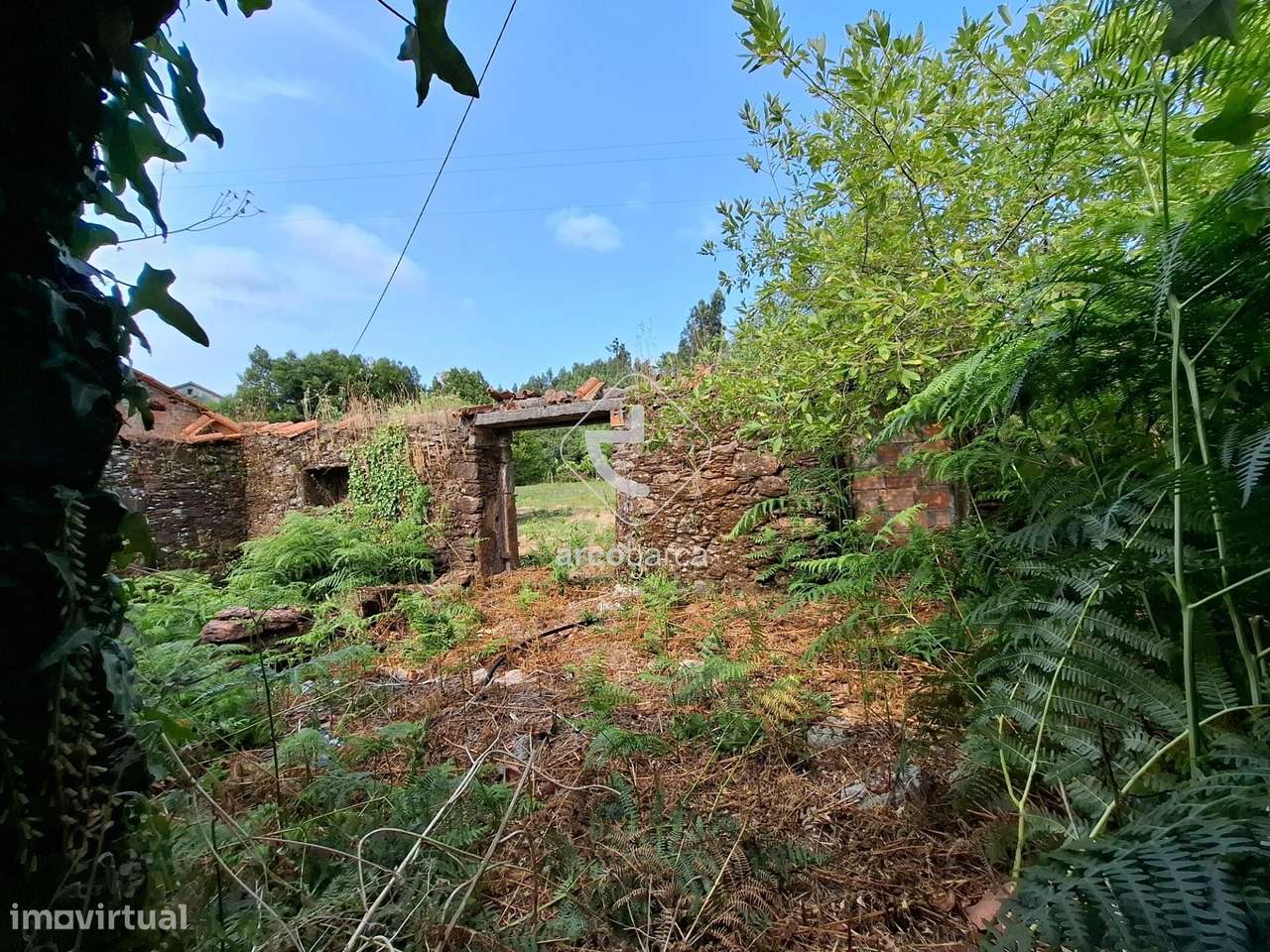 Quintinha ruinas p/restauro com 2520m2 - Moreira Lima - Ponte de Lima-9