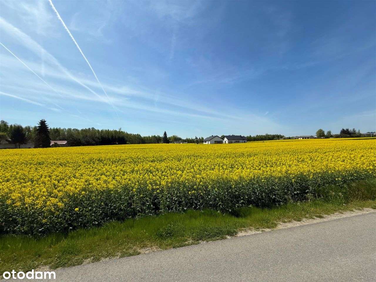 Idealny grunt Pod Inwestycje ! Okazja - Pełny obrazek: 5/6