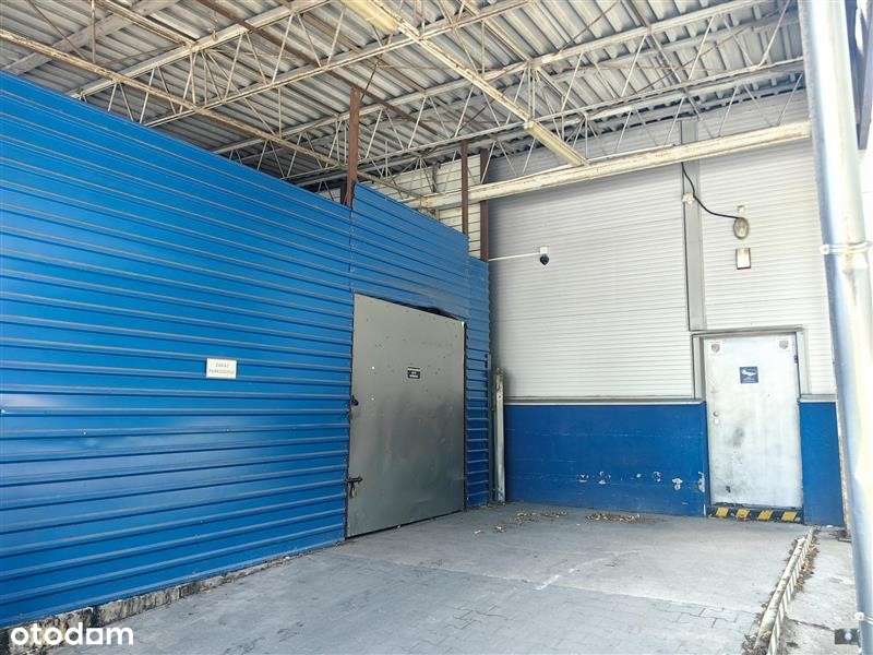 Lokal Handlowy przy Biedronce - Pełny obrazek: 4/13