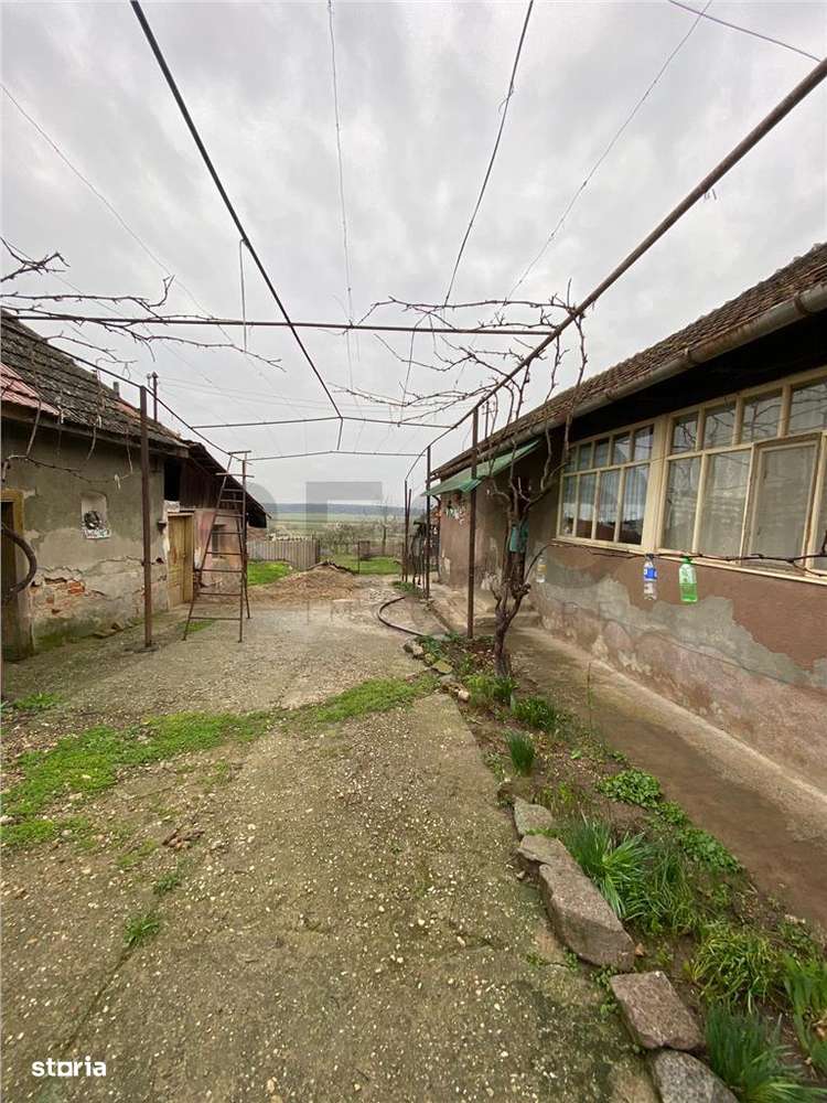 RECO Casa in  Rosiori Vaida 3cam 18km de Oradea - Imagine principală: 5/6