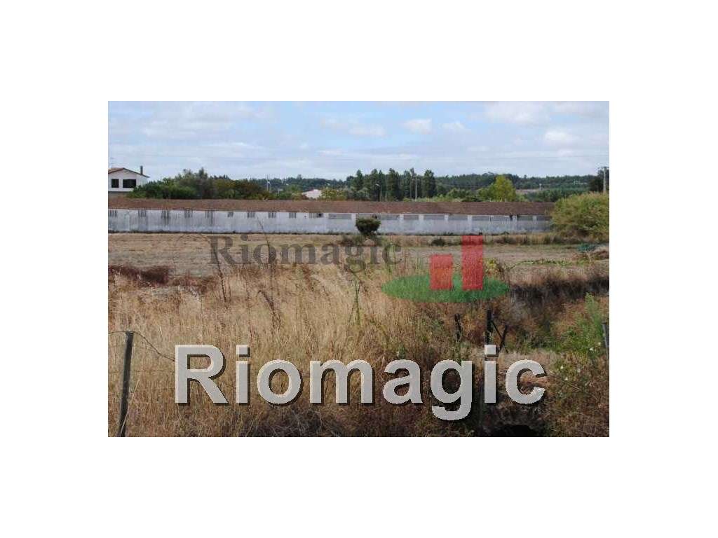 Lote para Construção Urbana em Rio Maior - Grande imagem: 2/5