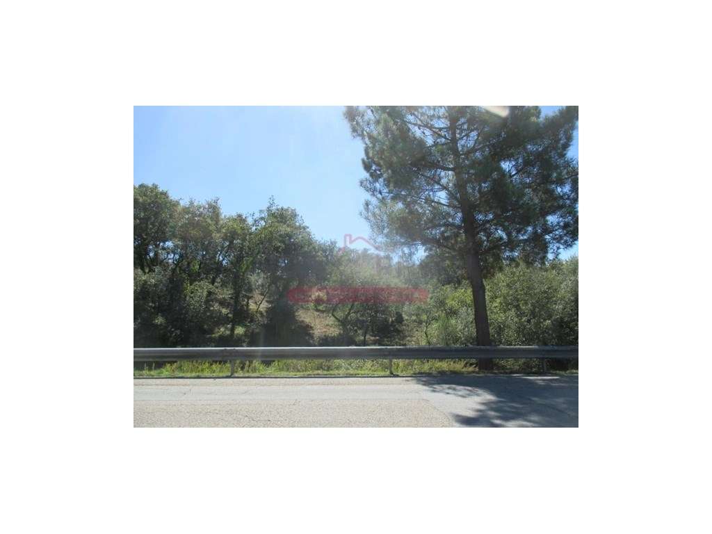 Lote Terreno Rustico - Soure - Grande imagem: 5/6