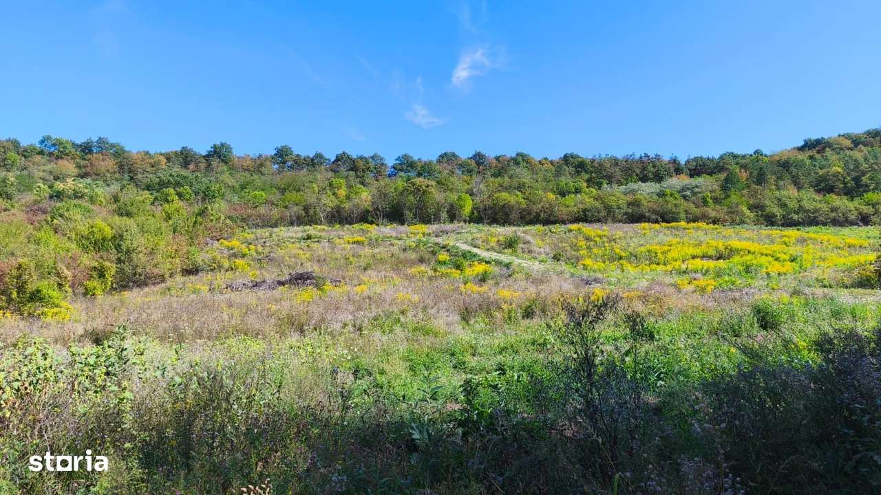 Corunca - 650 mp cu PUZ - zona superba si linistita - Imagine principală: 5/5