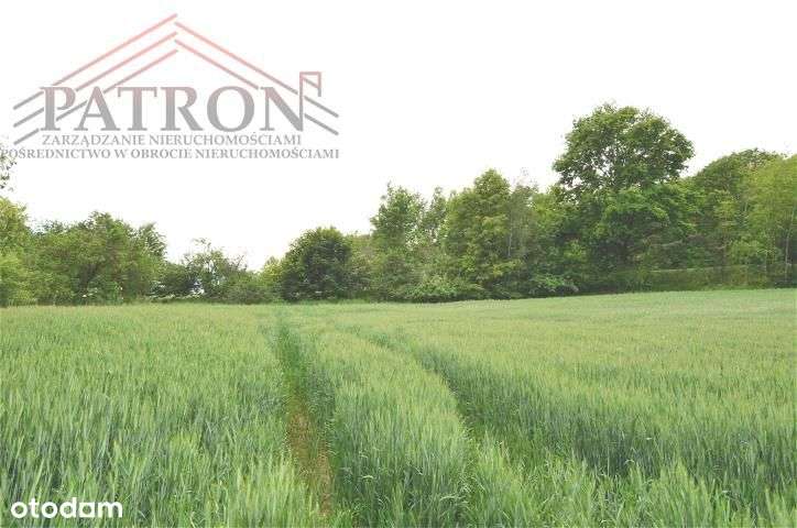 Działka budowlana w malowniczej wsi Włodzice Małe.-11