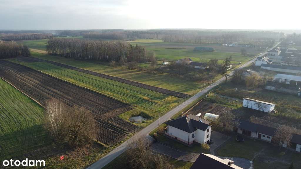 Działka (1182 m2) z WZ w Jabłonowie gm. Policzna. - Pełny obrazek: 5/8