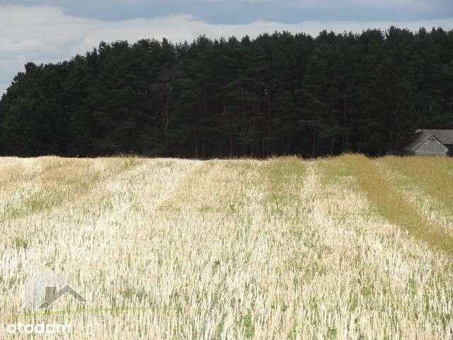 Działka, 1 300 m², Pniówek-6