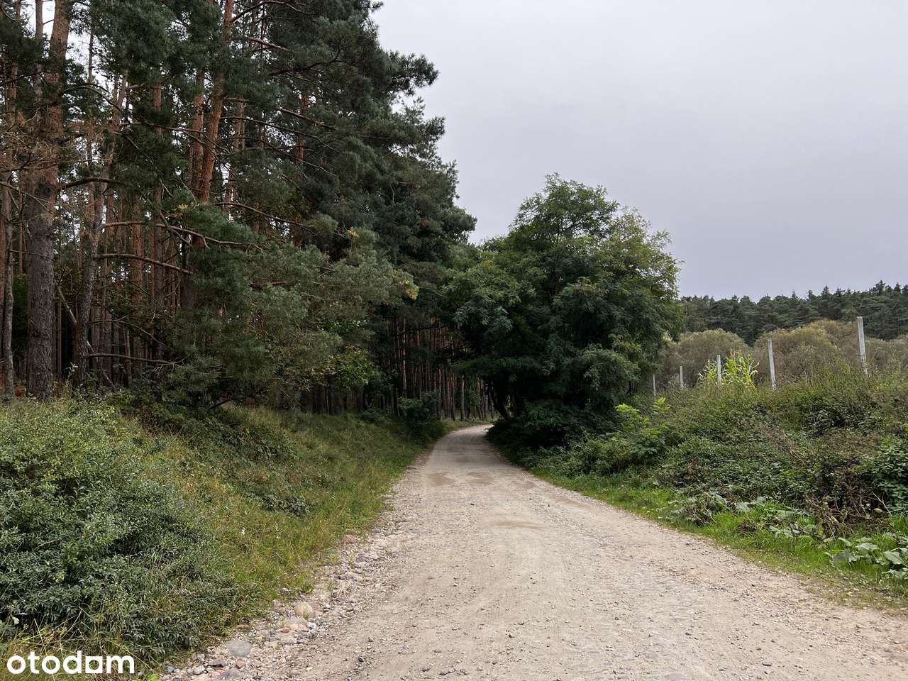 1h grunt pod zabudowę rezydencjonalną Wielkopolski Park Narodowy-10