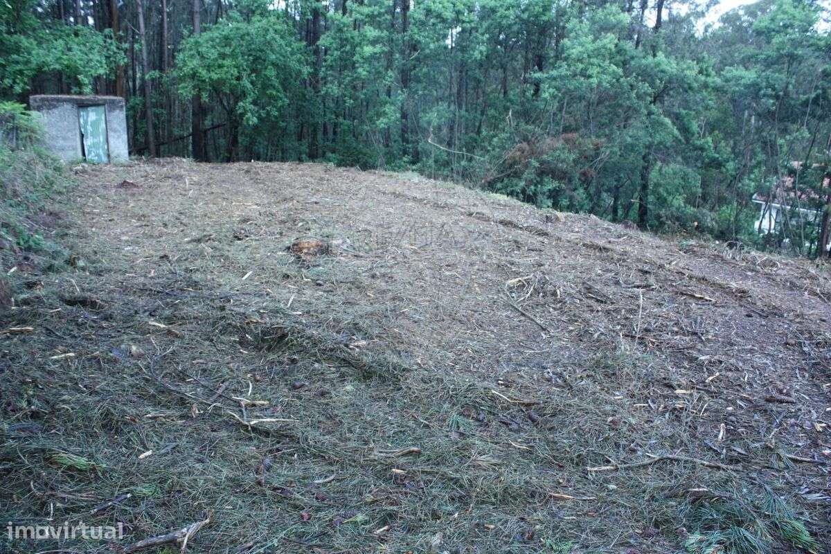 Terreno  para venda - Grande imagem: 5/6