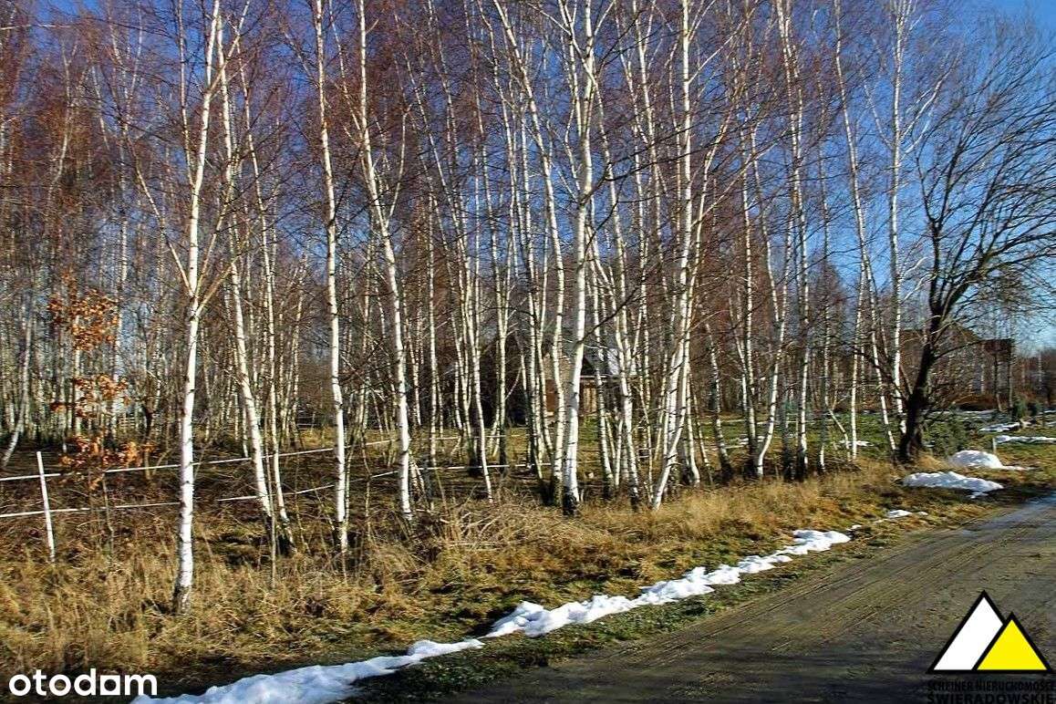 Działka z widokiem na góry-3