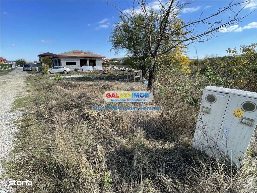 Gulia Tartasesti Str Samurcasi 482 mp deschidere 25 ml - Imagine principală: 4/11