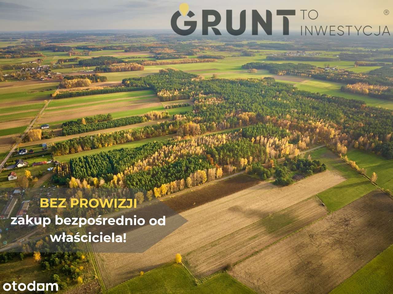 Działki budowlane pod lasem - Pełny obrazek: 2/9