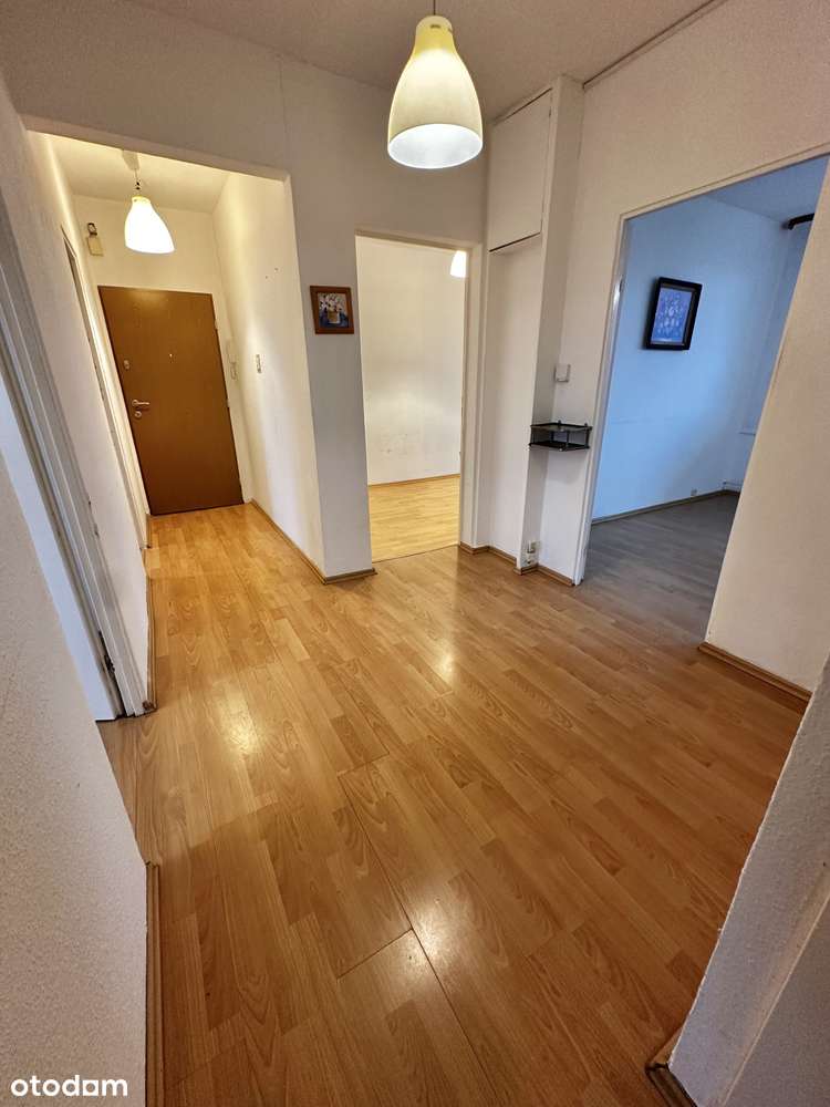 Duże i słoneczne w niskim bloku-8