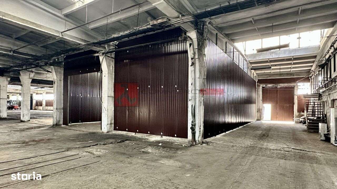 HALA 240 MP - PRET ATRACTIV - ACCES FACIL - CODLEA - Imagine principală: 2/8