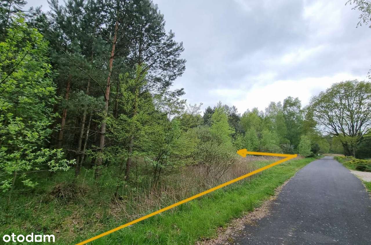 Strzelce-okolice; WZ, prąd, woda; Urokliwy teren przy lesie!! 105zł/m2-2