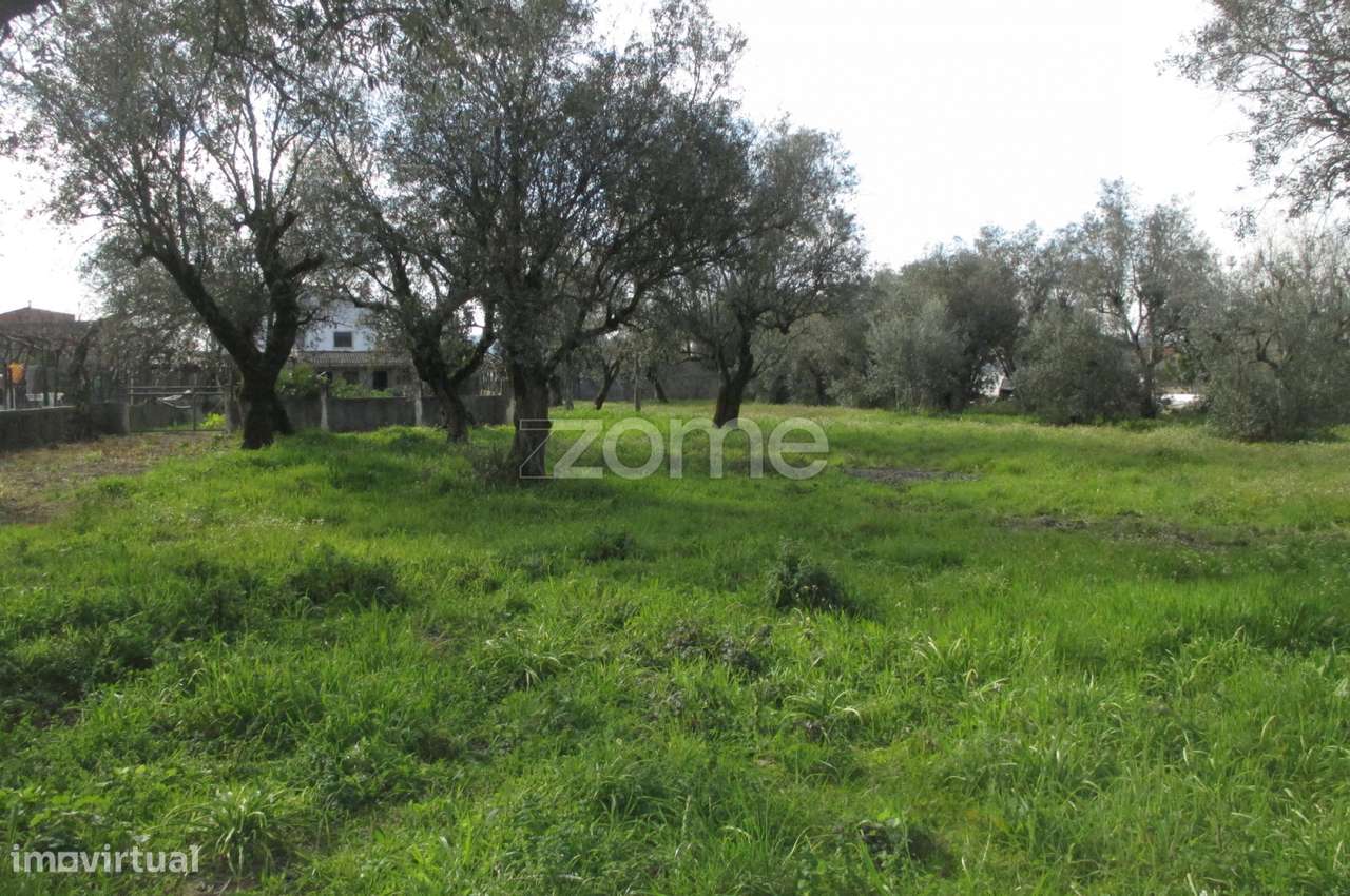 Terreno para construção de prédio - Grande imagem: 4/15