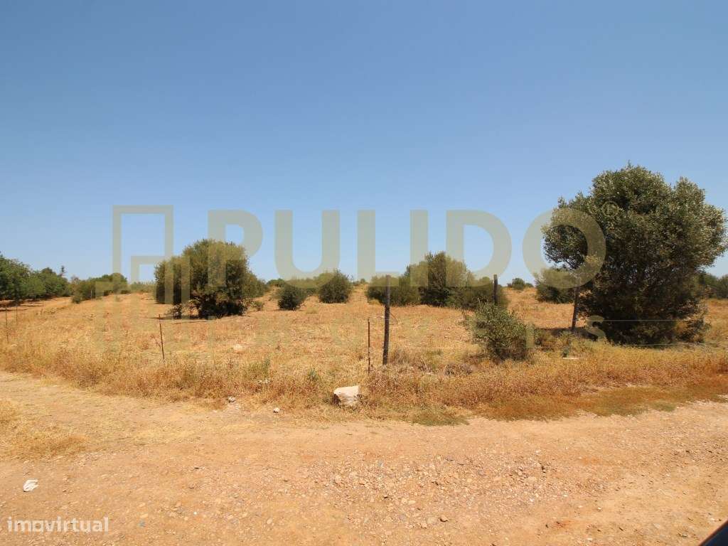 Quinta em Castro Marim a 5km da praia-21