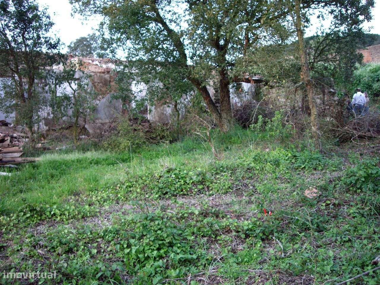 Quinta do Conventinho - Óbidos-10