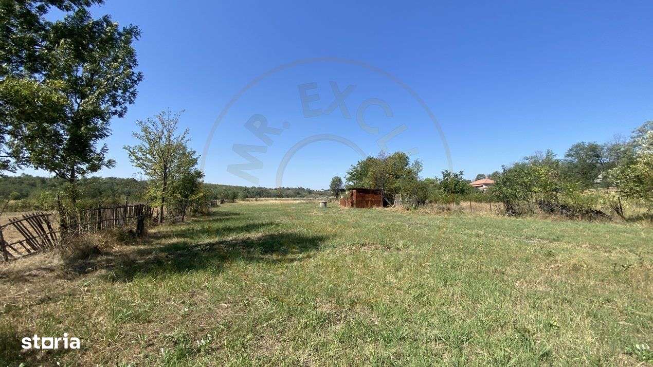 Teren 10414 mp in loc. Albota-Mares. COMISION 0% - Imagine principală: 3/5