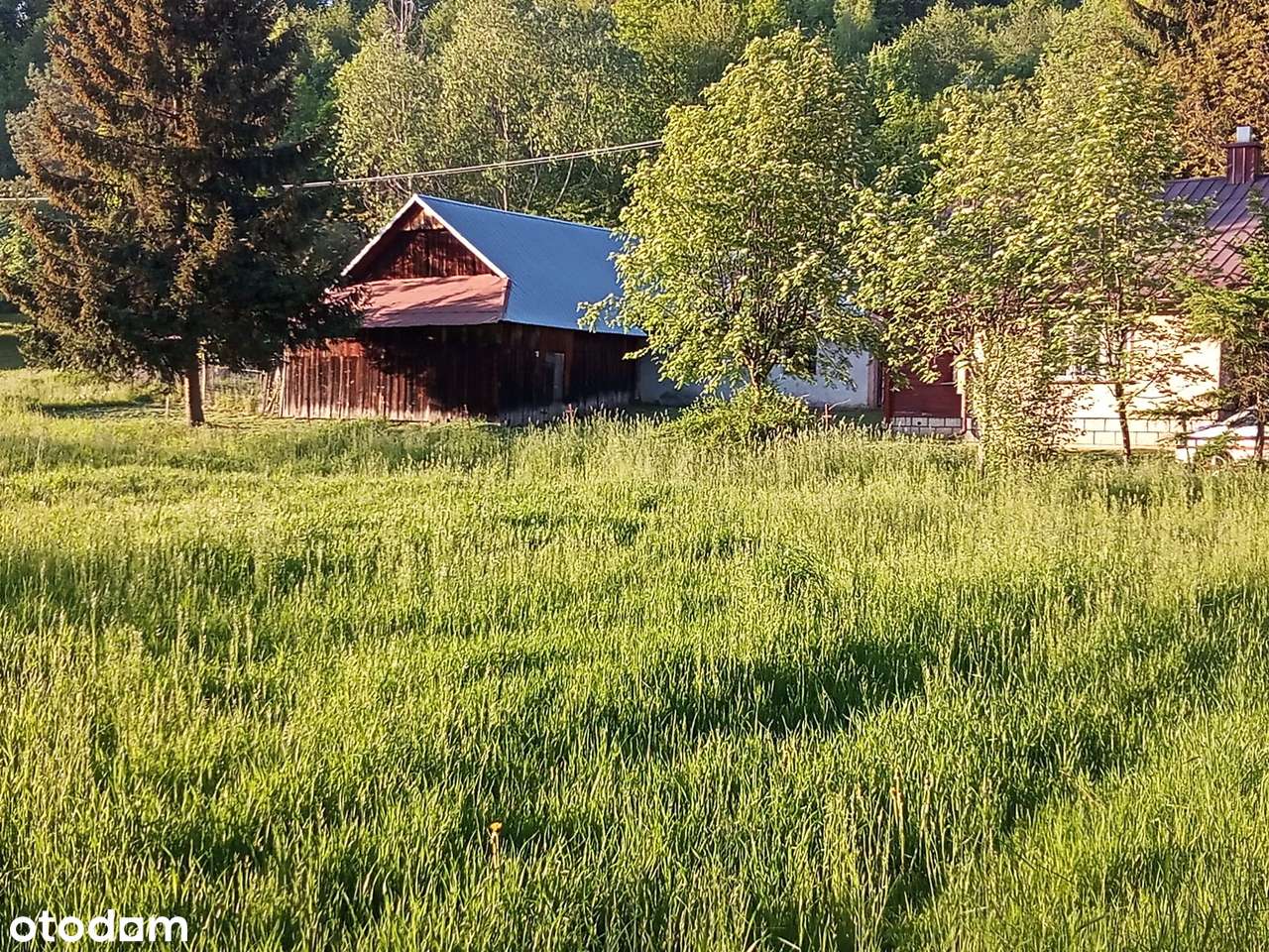 Magiczne siedlisko z lasem, rzeczką i historią-17