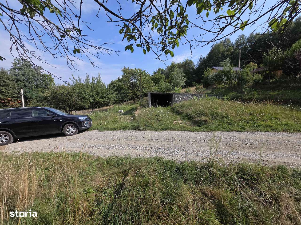 Teren de vanzare Tohanita, Bran, Zarnesti - Imagine principală: 5/9