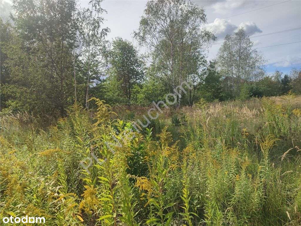 Działka Budowlana Tuż Przy Parku Mazowsze!!!-2