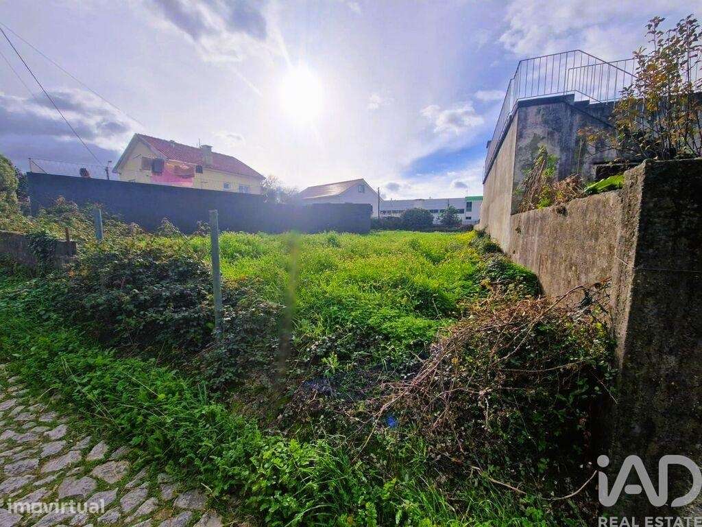 Terreno Agrícola em Santa Marta de Portuzelo - Grande imagem: 2/14