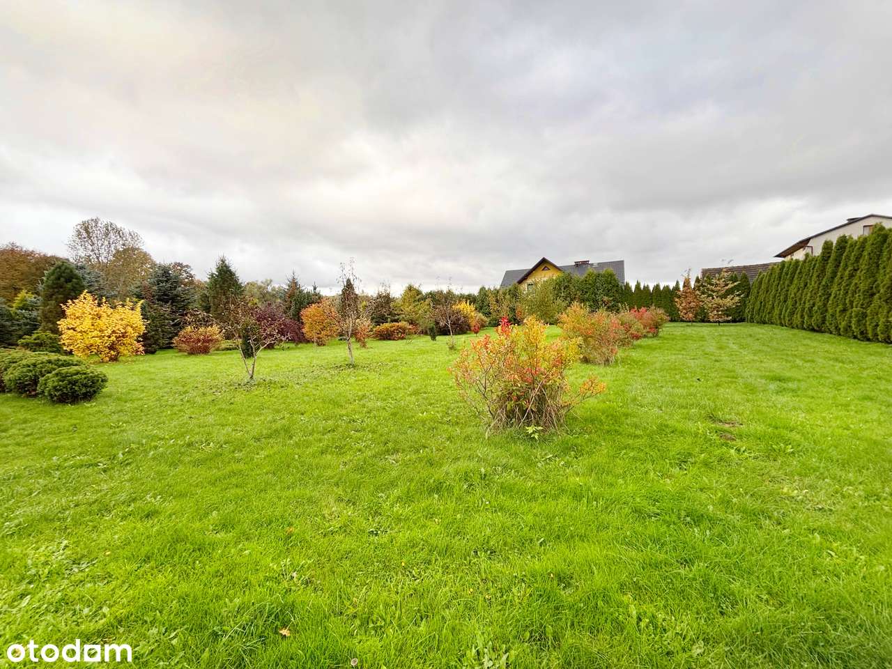 Przytulny dom! Duża działka! Gilowice - Pełny obrazek: 5/20