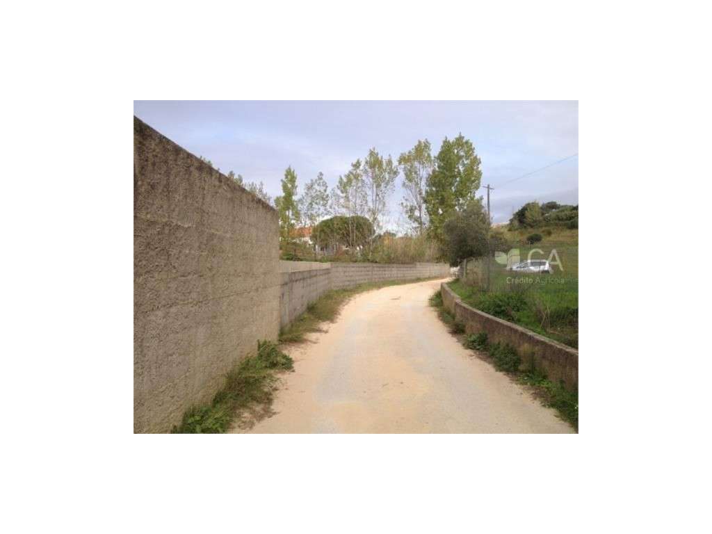QUINTA DAS FAÇALVAS - TERRENO - Grande imagem: 2/5