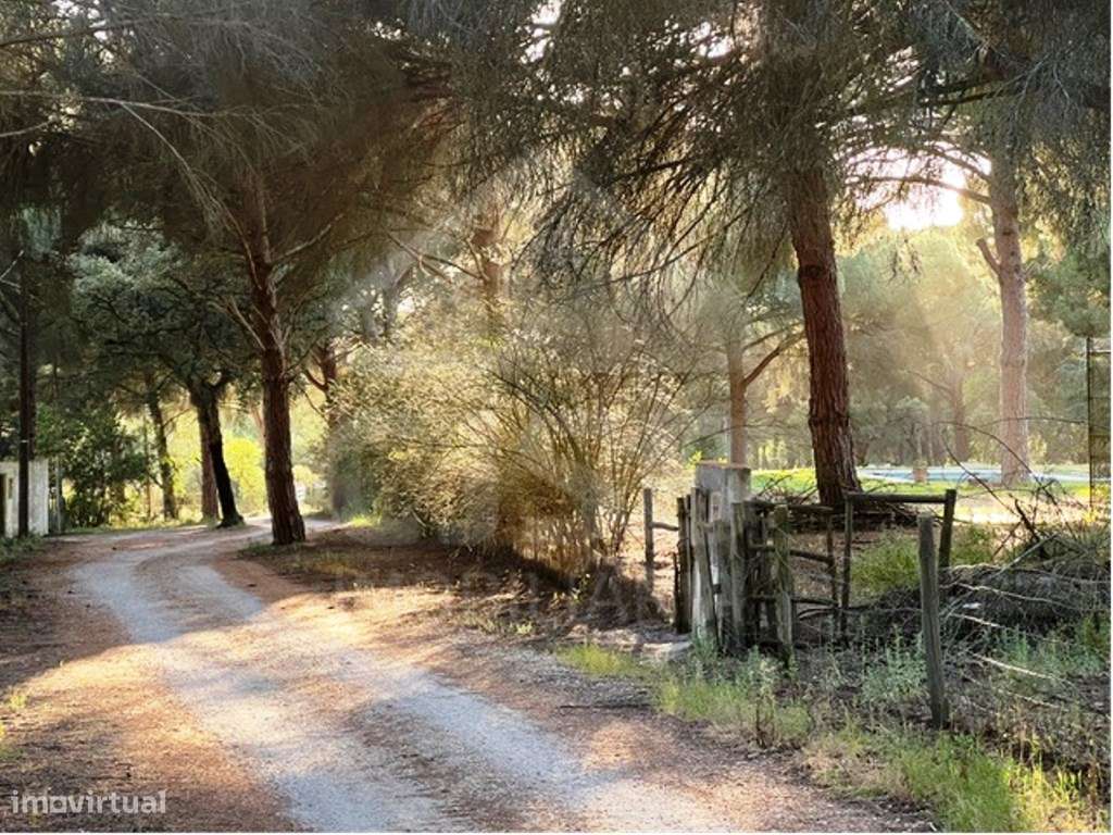 Terreno na Herdade do Zambujeiro - Grande imagem: 3/14