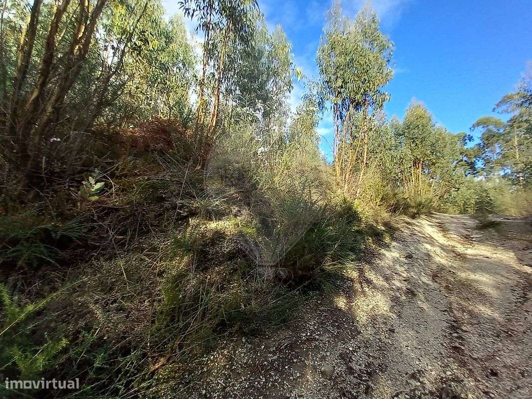 Terreno  para venda - Grande imagem: 5/7