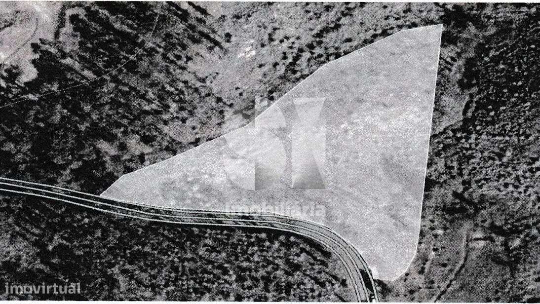 Terreno Rústico – 7.661 m² com Nascente de Água - Grande imagem: 2/3